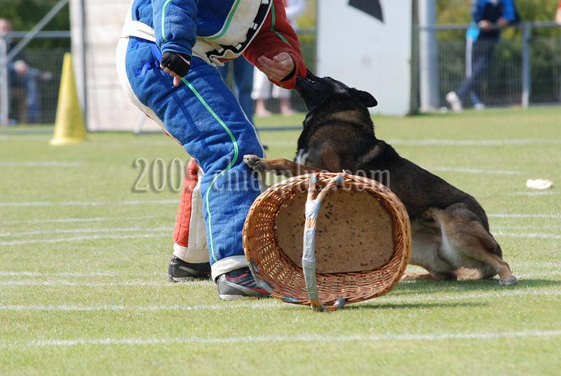 3 EME SELECTIF 2009 GRANDE SYNTHE 646.jpg
